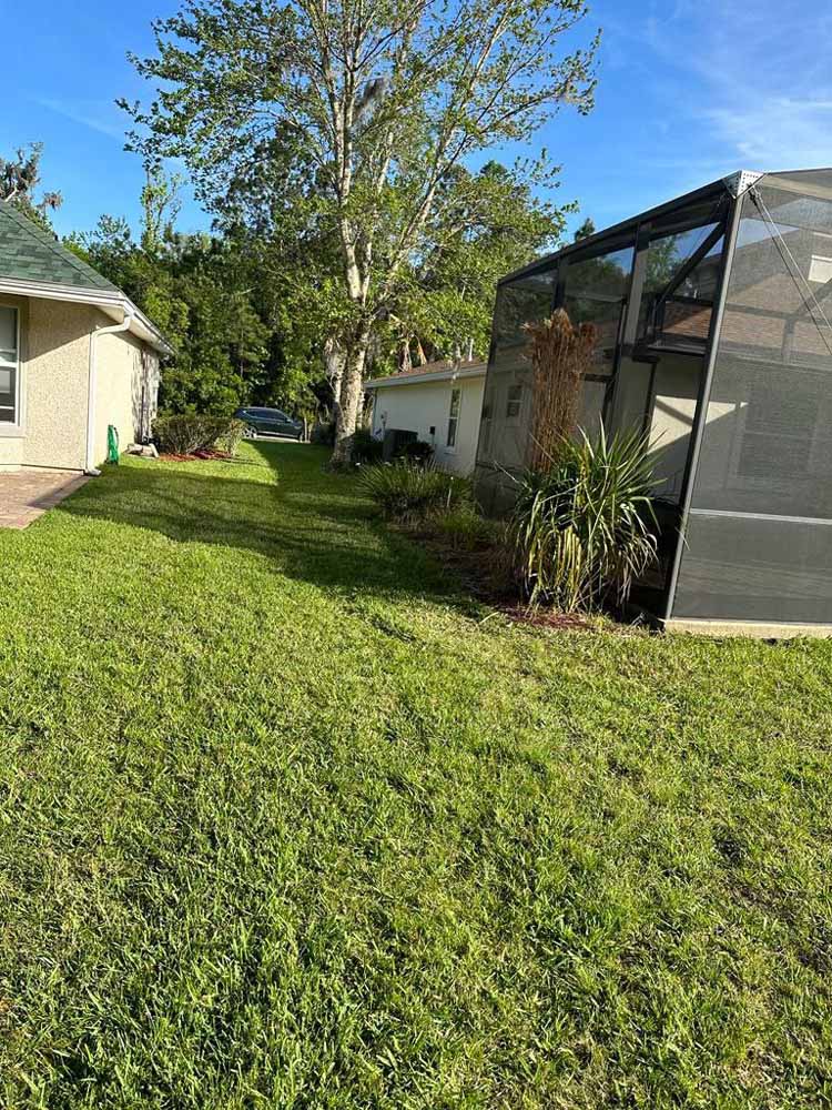 House Painting Services in Jacksonville